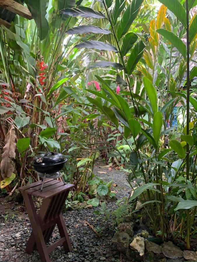 Surf Camp Hotel Bocas Town Ngoại thất bức ảnh