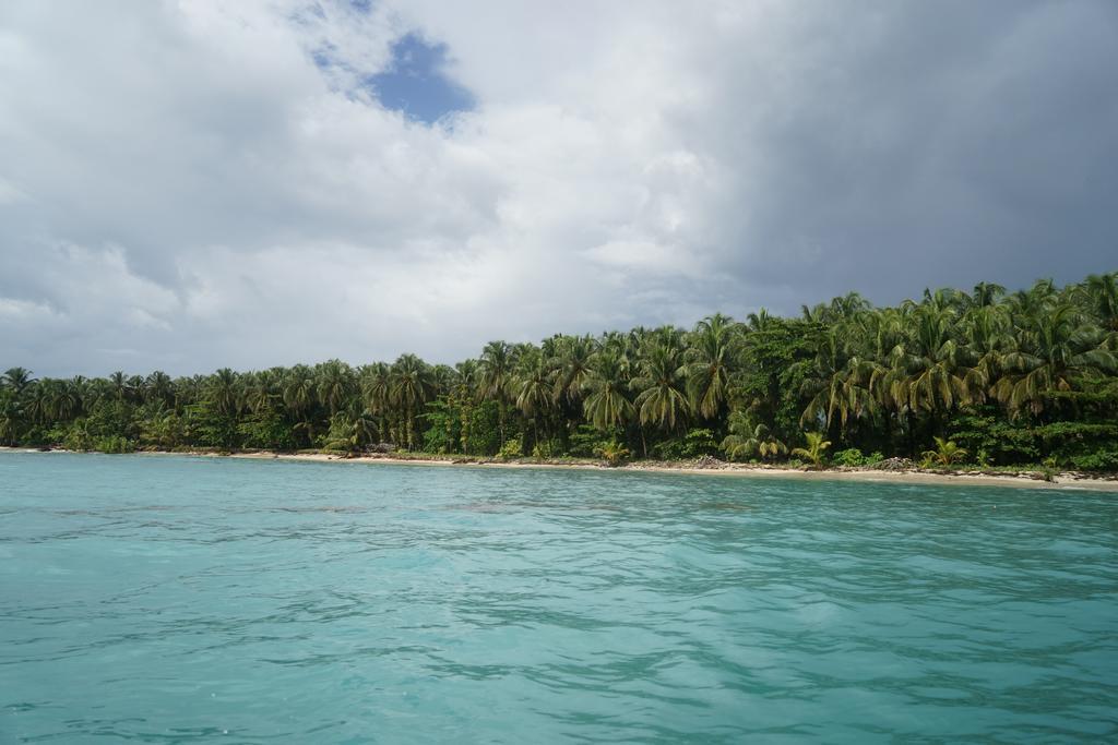 Surf Camp Hotel Bocas Town Ngoại thất bức ảnh